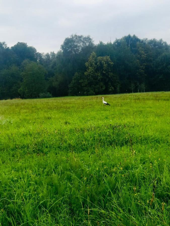 Romantyczna Chatka Pisarzowice  Экстерьер фото